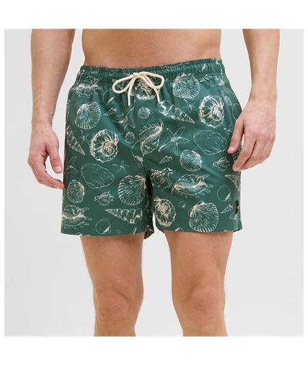 costume righe jack verde 1