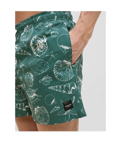 costume righe jack verde 2
