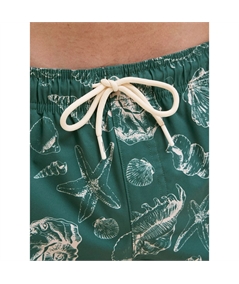 costume righe jack verde 3