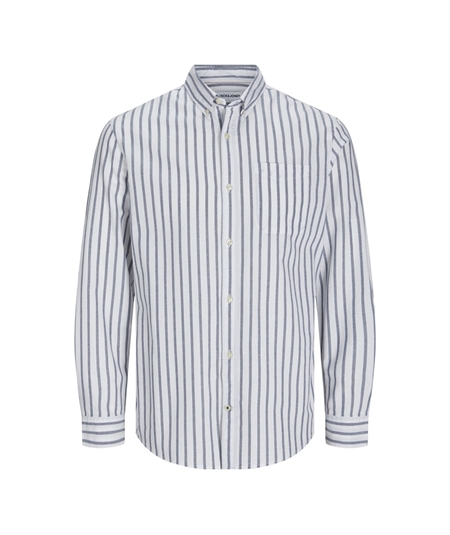 camicia riga oxford 3