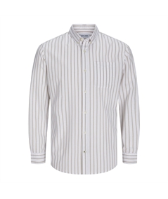 12182486 camicia oxford riga 3