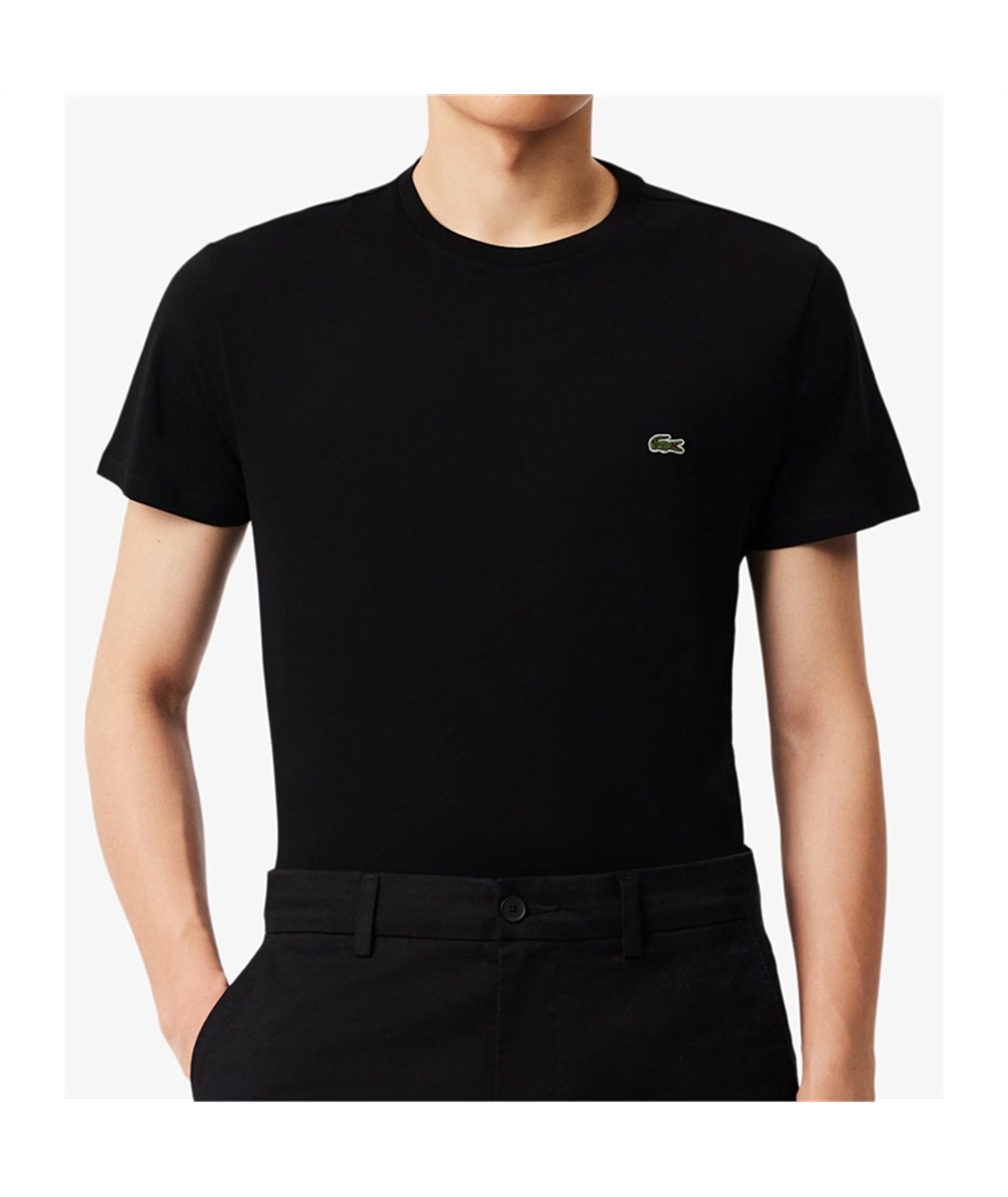 TH6709 t-shirt pima cotton lacoste nero 0