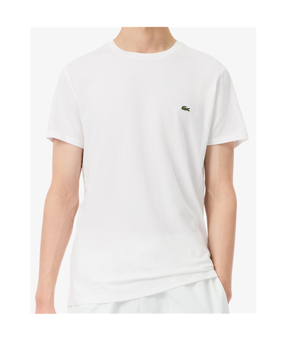 TH6709 t-shirt pima cotton lacoste bianco 1
