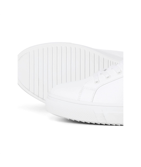 12229695_4155734_sole 12229695_4155734_sole