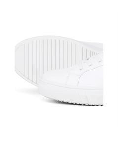 12229695_4155734_sole