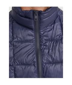 12251948_4424366_detail_1