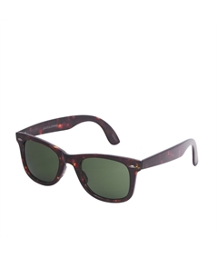 12252831_4439498_frontangled