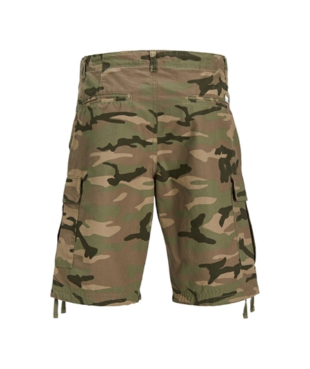 12248685_4376963_back 12248685_4376963_back