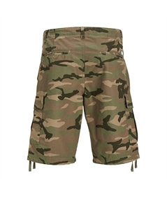 12248685_4376963_back